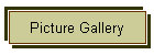 Picture Gallery