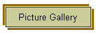 Picture Gallery